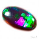 Unik 0,80 ct AUSTRALIAN SOLID BLACK LIGHTNING RIDGE OPAL